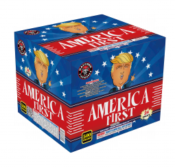 RACCOON AMERICA FIRST- CASE 4/1